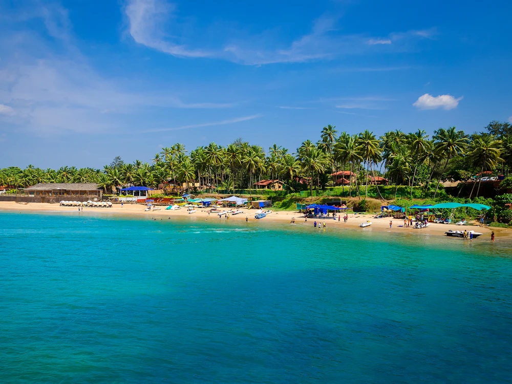 Kovalam coast and palm trees, South India tour packages for agents