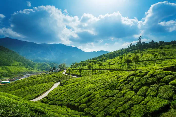 munnar xpedia holidays