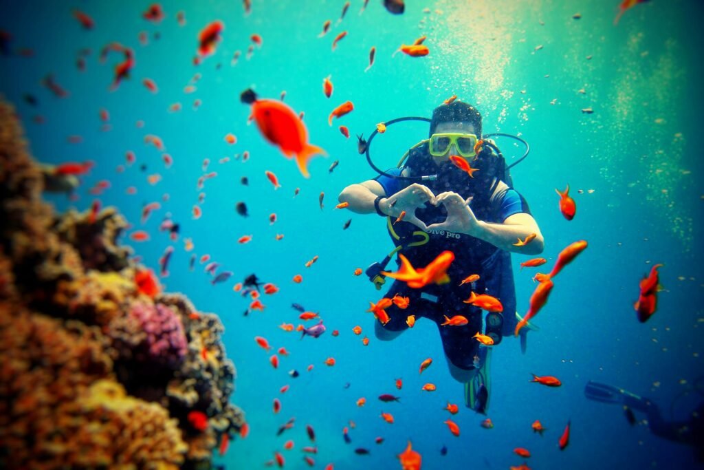 Diver surrounded by colorful fish and coral reef, capturing underwater adventure.
