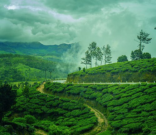 Munnar