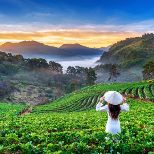 Kerala Tour Packages