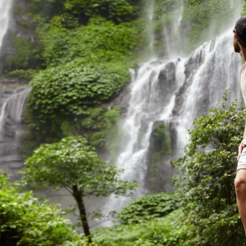Mysuru & Coorg Explorer
