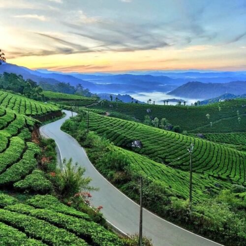 Kerala