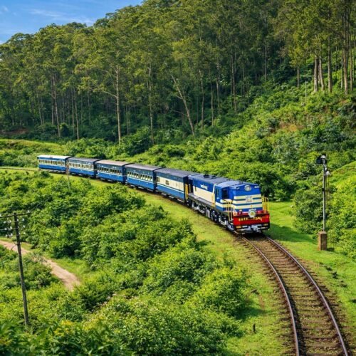Ooty