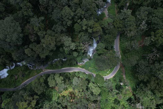 Drone shot capturing a winding road through lush green forest in Kerala, India.