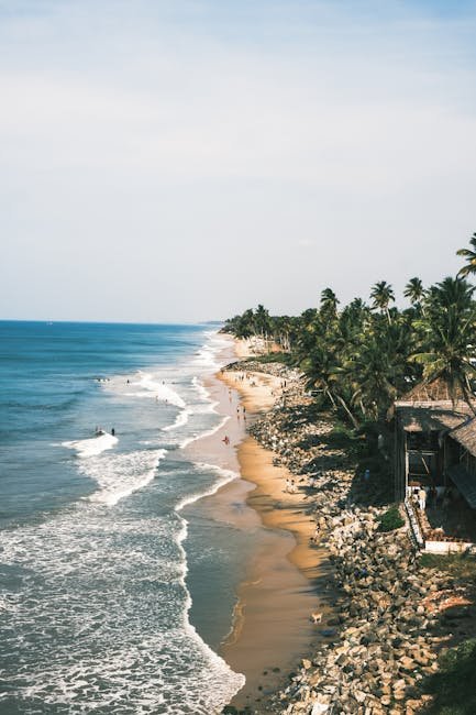 A breathtaking view of Varkala Beach in Kerala, India, featuring tropical palm trees and serene ocean waves.