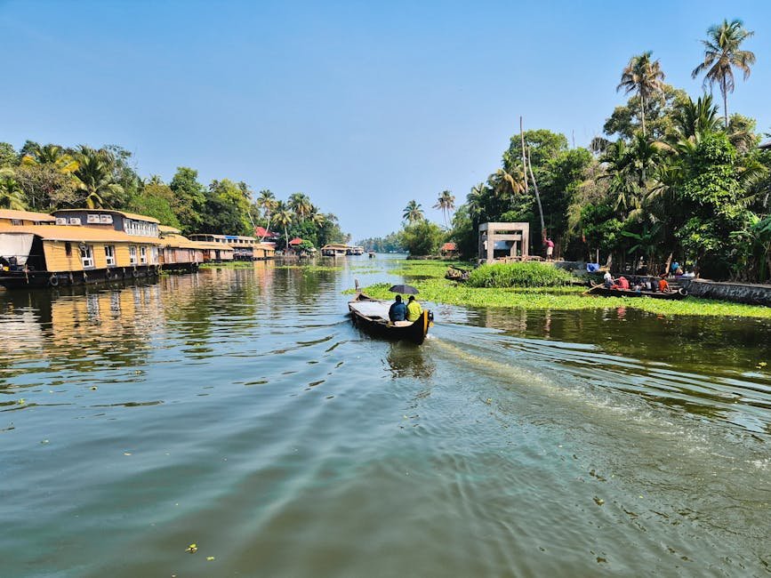 Explore the serene backwaters of Alappuzha, Kerala, with traditional boats and lush greenery.