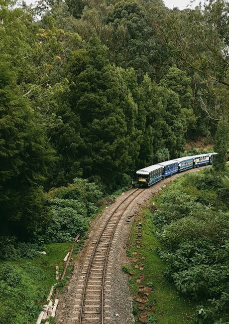 Train winding through Ooty's lush green forests on a serene day.