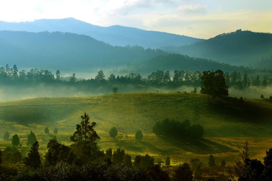 Scenic view of misty hills and lush green landscape in Poombarai, Tamil Nadu, India.