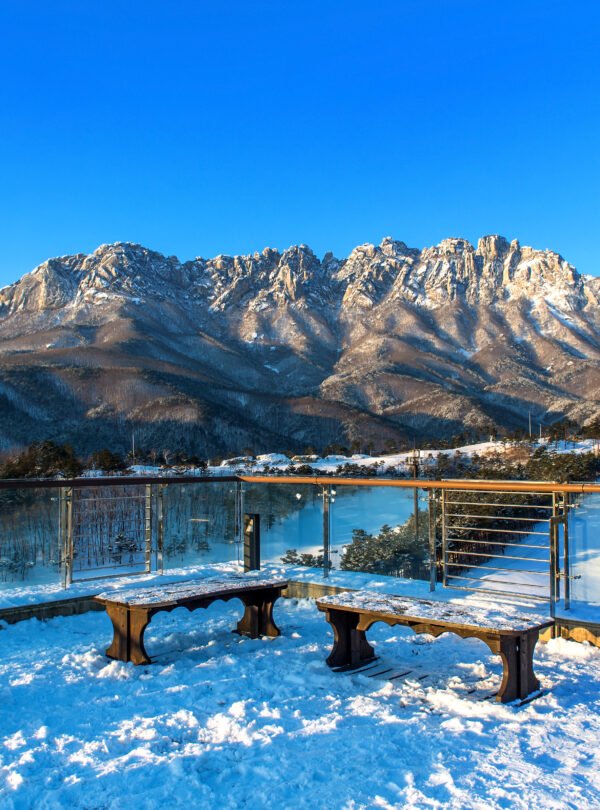 Kashmir 3 Nights 4 Days Tour Package