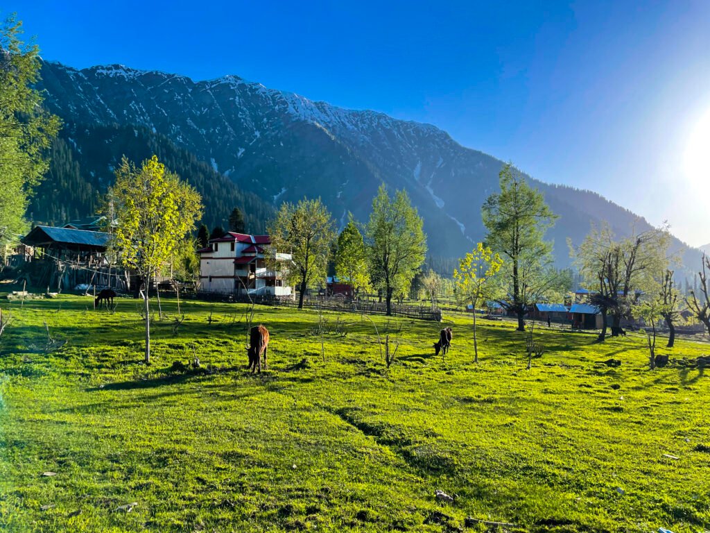 Kashmir 5 Days Tour Package