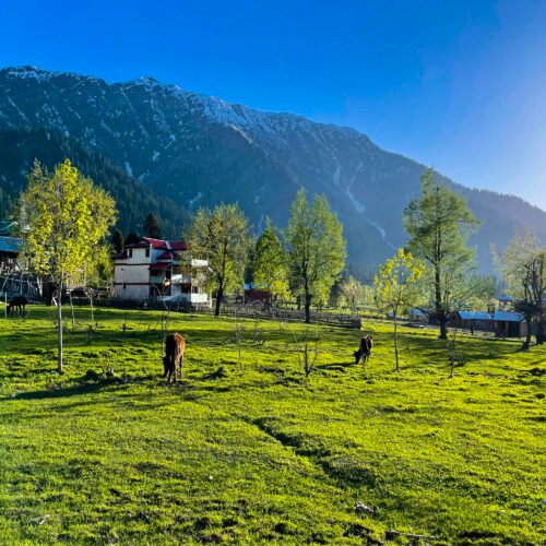Kashmir 5 Days Tour Package