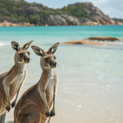 Highlights of Australia