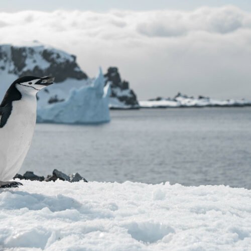 Antarctica – The 7th Continent